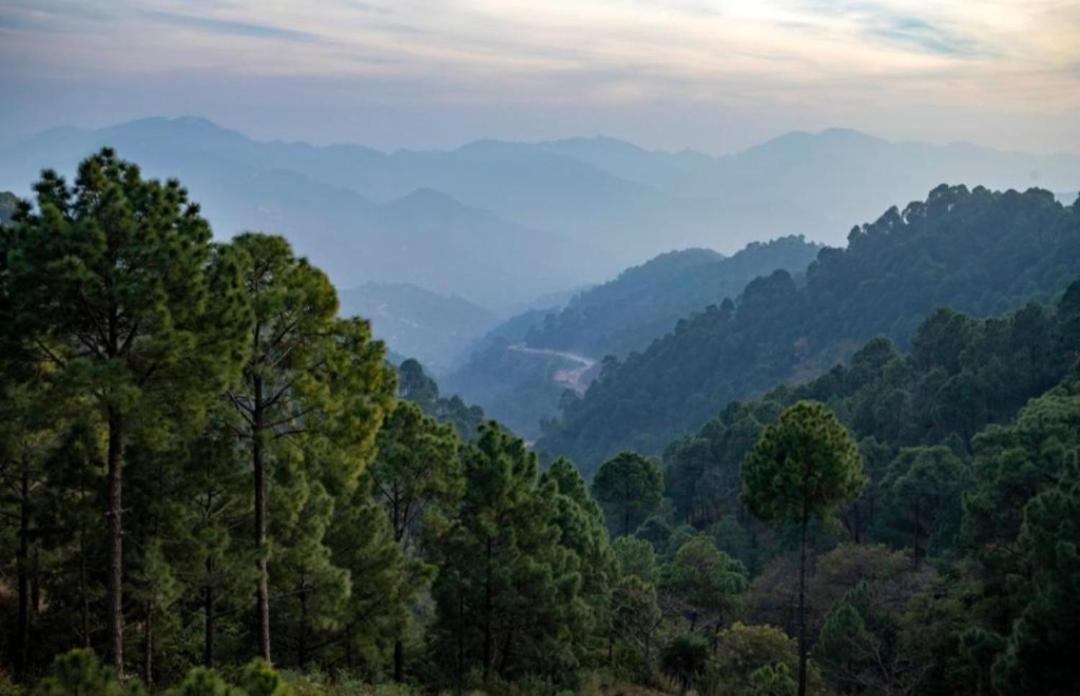 The Heritage Home Kasauli I Pine View Serviced Villa I Best Seller I Vacations I Family Events I Sky Bonfire I Kasauli By Exotic Stays Esterno foto