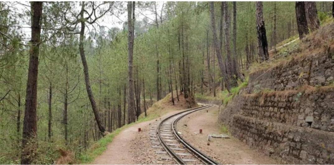 The Heritage Home Kasauli I Pine View Serviced Villa I Best Seller I Vacations I Family Events I Sky Bonfire I Kasauli By Exotic Stays Esterno foto