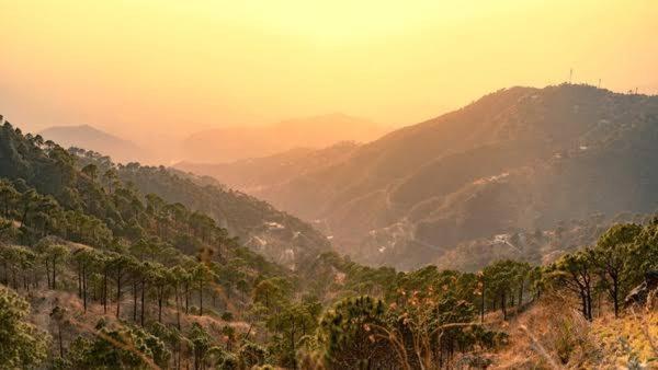 The Heritage Home Kasauli I Pine View Serviced Villa I Best Seller I Vacations I Family Events I Sky Bonfire I Kasauli By Exotic Stays Esterno foto
