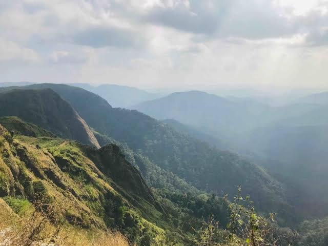 The Heritage Home Kasauli I Pine View Serviced Villa I Best Seller I Vacations I Family Events I Sky Bonfire I Kasauli By Exotic Stays Esterno foto