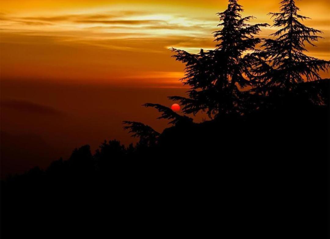 The Heritage Home Kasauli I Pine View Serviced Villa I Best Seller I Vacations I Family Events I Sky Bonfire I Kasauli By Exotic Stays Esterno foto